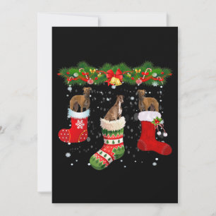 Three Greyhound Dog In Sock Christmas Santa Holiday Card