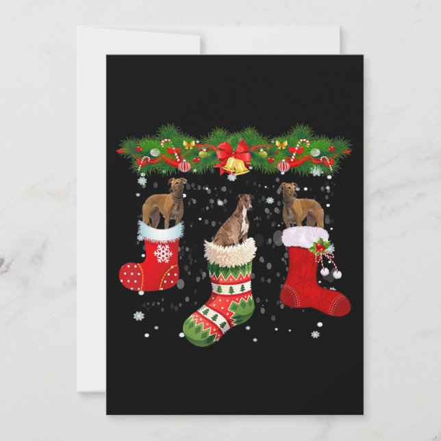 Three Greyhound Dog In Sock Christmas Santa Invitation (Front)