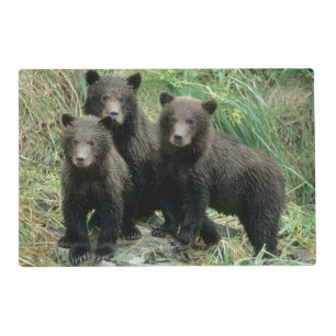 Three Grizzly Bear Cubs or Coys Placemat
