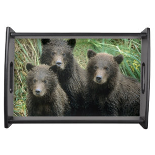 Three Grizzly Bear Cubs or Coys Serving Tray