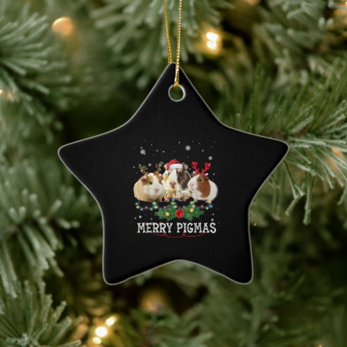 Three Guinea Pig Christmas Lights Santa Hat Ceramic Ornament