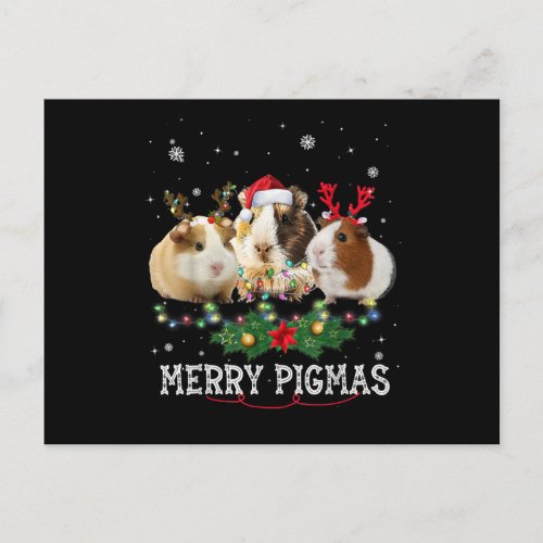 Three Guinea Pig Christmas Lights Santa Hat Postcard