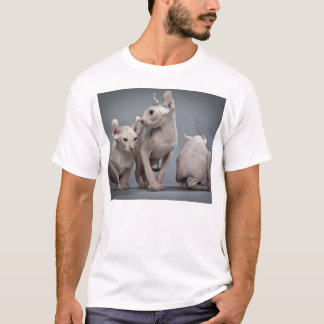 Three hairless cats T-Shirt