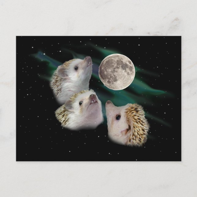 Three Hedgehog Moon Postcard (Front)