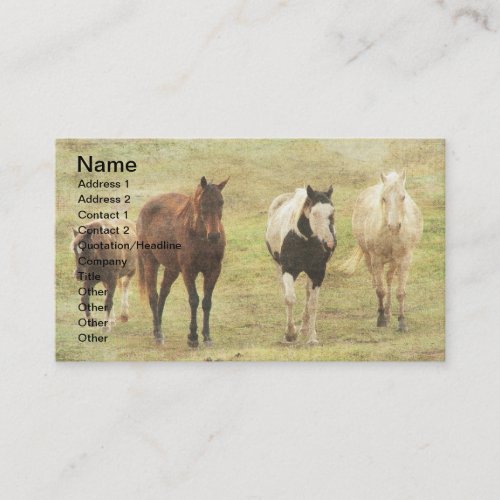 Three Horses and a Pony Business Card