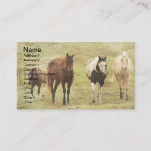 Three Horses and A Pony Business Card
