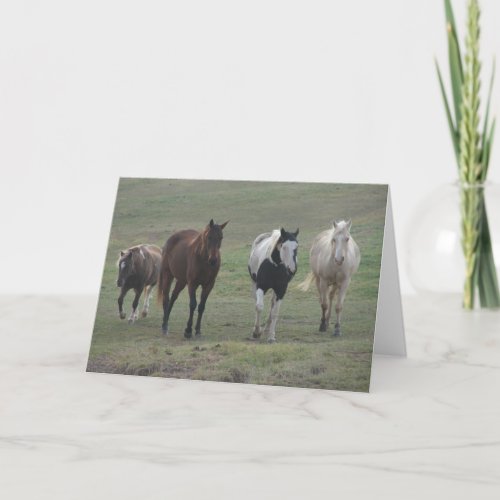 Three Horses and a Pony Card