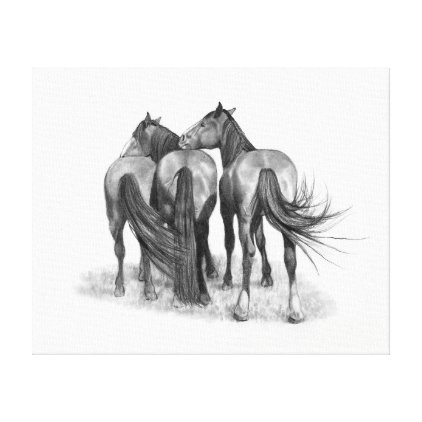 Three Horses in Pencil, Equine Art Canvas Print