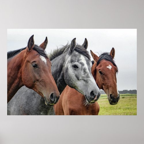 Three Horses Poster