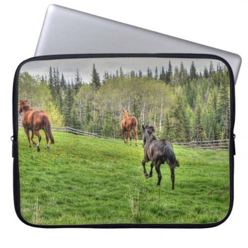 Three Horses Running on Fresh Grass in a Paddock Laptop Sleeve