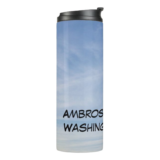 Three Hot Air Balloons in cloudy sky Personalize Thermal Tumbler (Rotated Left)