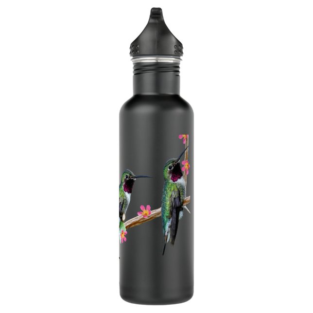 Three Hummingbirds perched on a branch of a Floss  Stainless Steel Water Bottle (Right)