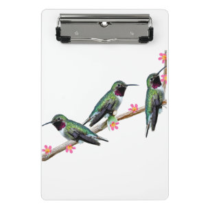 Three Hummingbirds perching on a branch Floss Silt Mini Clipboard