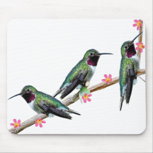 Three Hummingbirds perching on a branch Floss Silt Mouse Pad