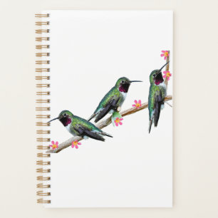 Three Hummingbirds perching on a branch Floss Silt Planner