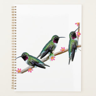 Three Hummingbirds perching on a branch Floss Silt Planner