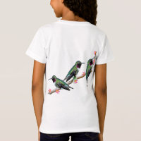 Three Hummingbirds perching on a branch Floss Silt
