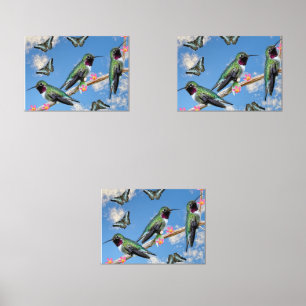 Three Hummingbirds perching on a branch Poster Wall Art Sets