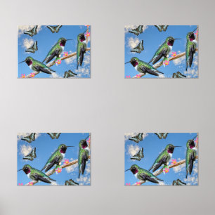 Three Hummingbirds perching on a branch Poster Wall Art Sets