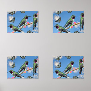 Three Hummingbirds perching on a branch Print Set
