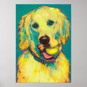 Three Hundred Fifty Fourth Retrieve Poster