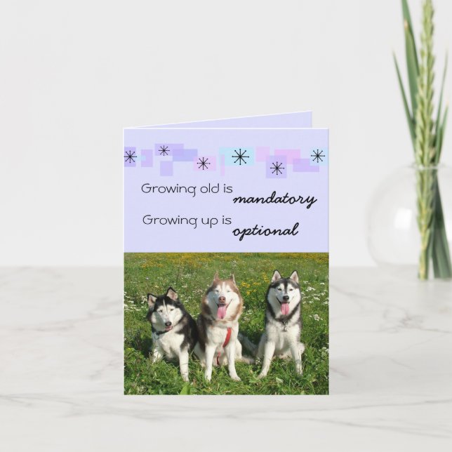 Three Huskies Birthday Card (Front)