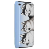 Three Husky Dogs iPod Touch Case (Back/Right)