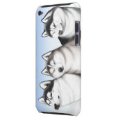 Three Husky Dogs iPod Touch Case (Back Left)