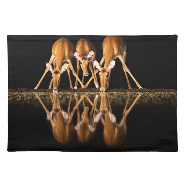 Three Impala Drink Together at Night Cloth Placemat (Front)