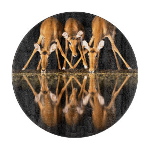 Three Impala Drink Together at Night Cutting Board
