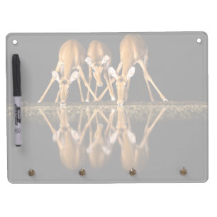 Three Impala Drink Together at Night Dry Erase Board With Keychain Holder