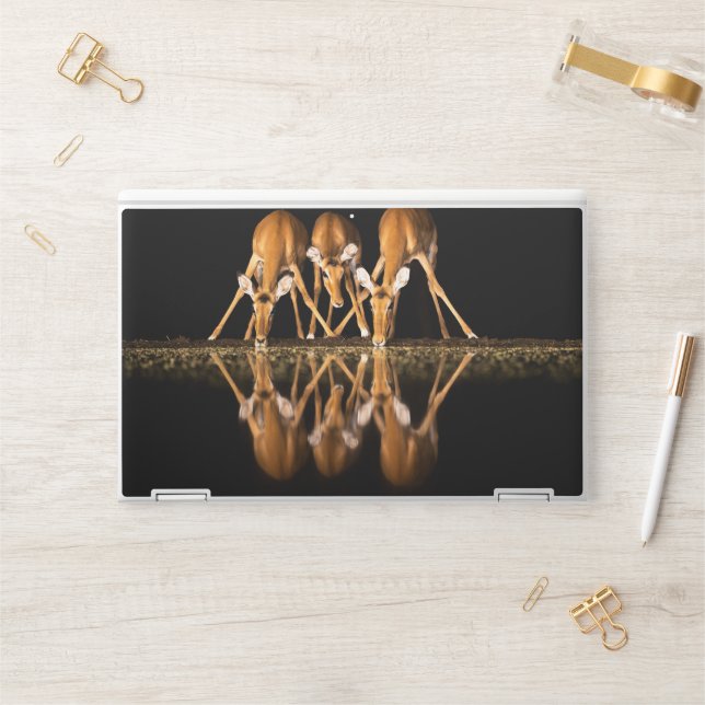 Three Impala Drink Together at Night HP Laptop Skin (Desk)