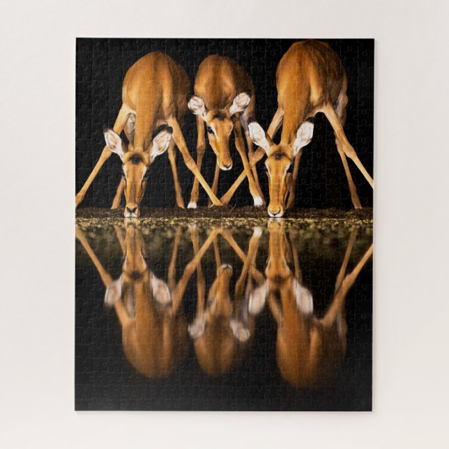 Three Impala Drink Together at Night Jigsaw Puzzle (Vertical)