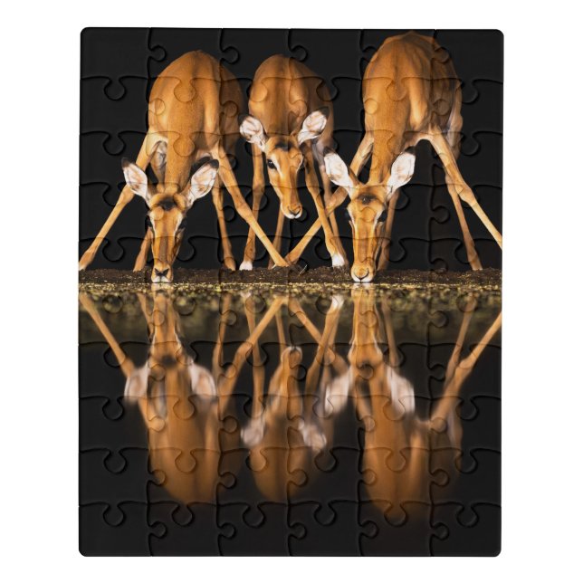 Three Impala Drink Together at Night Jigsaw Puzzle (Puzzle Vertical)