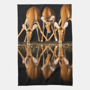 Three Impala Drink Together at Night Kitchen Towel