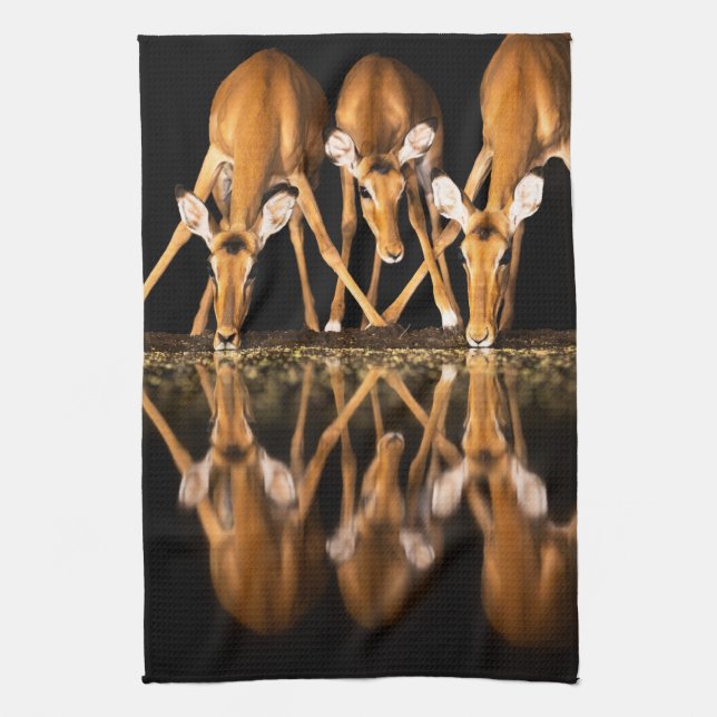 Three Impala Drink Together at Night Kitchen Towel (Vertical)