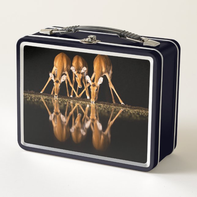 Three Impala Drink Together at Night Metal Lunch Box (Front)