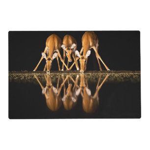 Three Impala Drink Together at Night Placemat