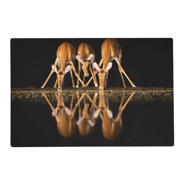 Three Impala Drink Together at Night Placemat (Front)