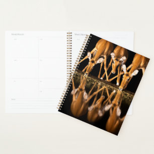 Three Impala Drink Together at Night Planner