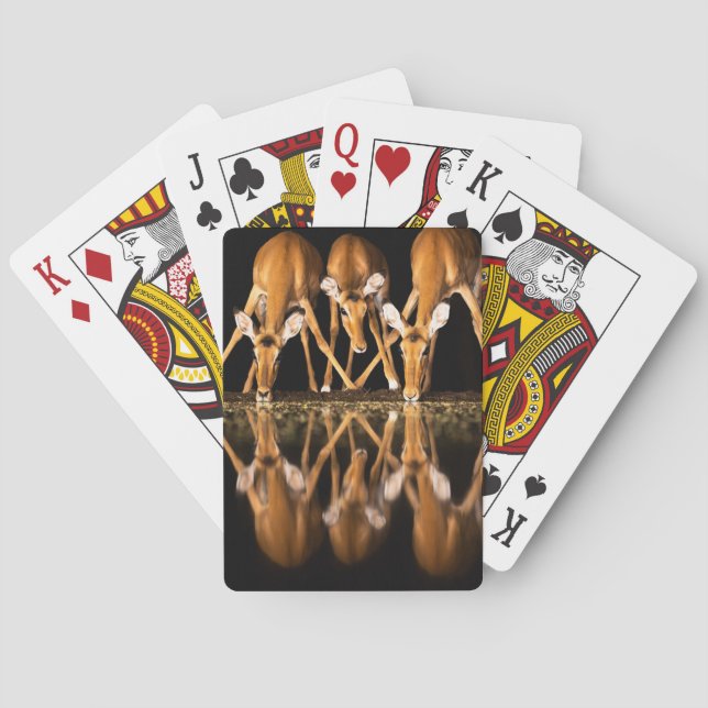 Three Impala Drink Together at Night Poker Cards (Back)