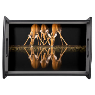 Three Impala Drink Together at Night Serving Tray
