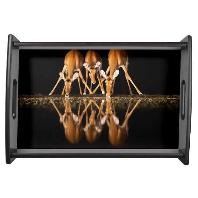 Three Impala Drink Together at Night Serving Tray (Front)