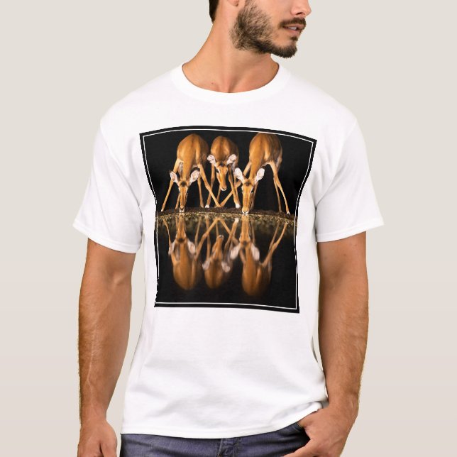 Three Impala Drink Together at Night T-Shirt (Front)