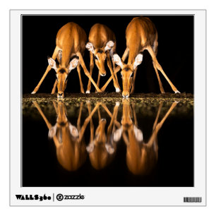 Three Impala Drink Together at Night Wall Decal