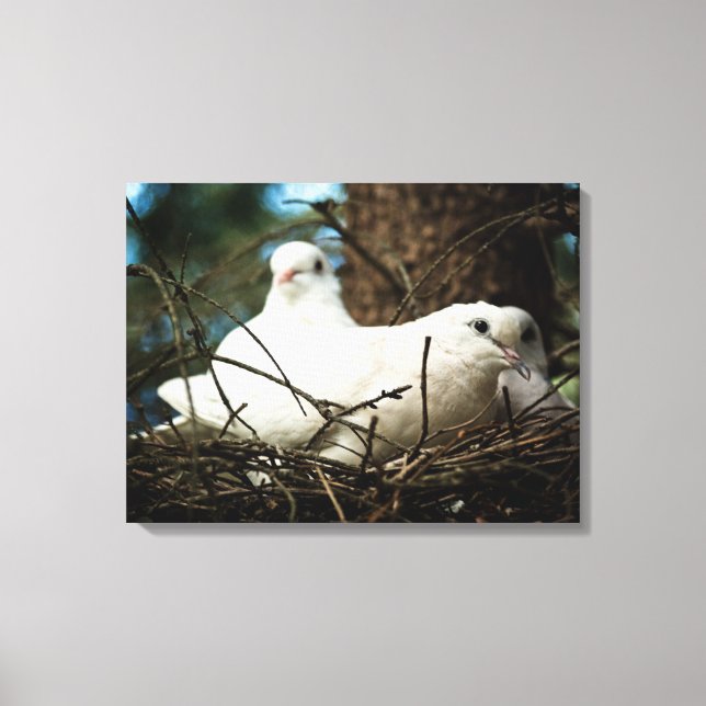 Three in a Tree Canvas Print (Front)