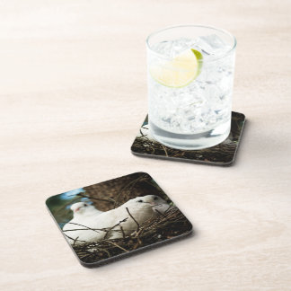 Three in a Tree Drink Coaster