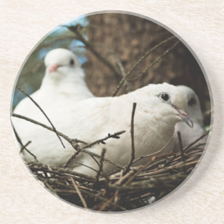 Three in a Tree Drink Coaster