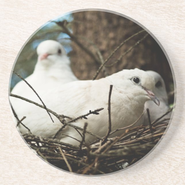 Three in a Tree Drink Coaster (Front)