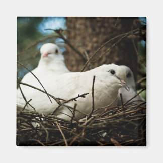 Three in a Tree Magnet